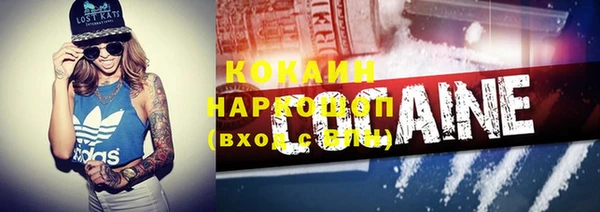 твердый Осинники
