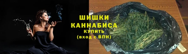 твердый Осинники