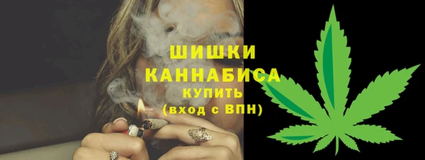 твердый Осинники