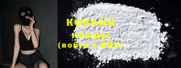 твердый Осинники