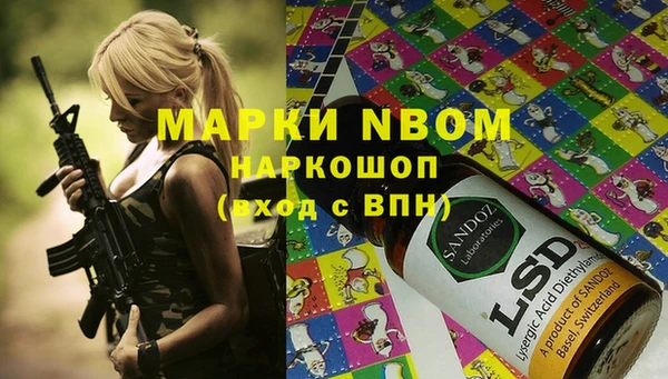 твердый Осинники